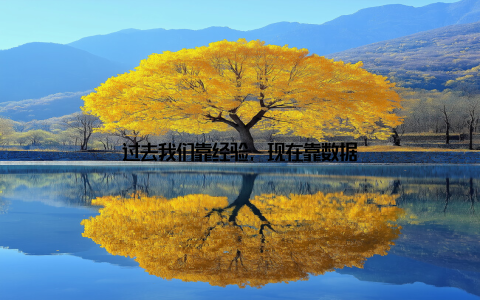 过去我们靠经验, 现在靠数据