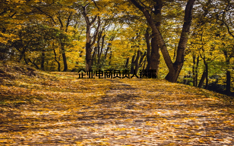 企业电商负责人透露