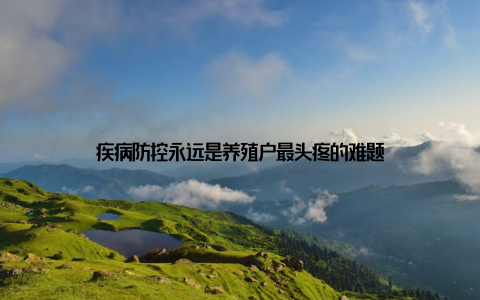 疾病防控永远是养殖户最头疼的难题