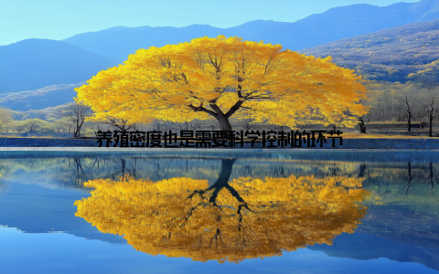 养殖密度也是需要科学控制的环节