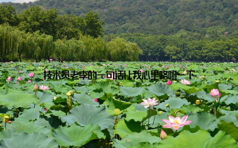 技术员老李的一句话让我心里咯噔一下