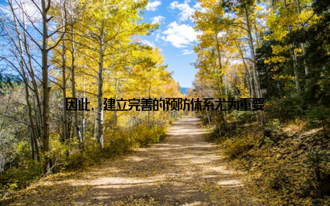 因此, 建立完善的预防体系尤为重要