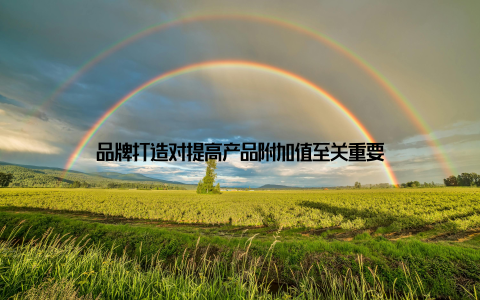 品牌打造对提高产品附加值至关重要