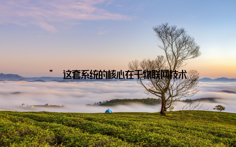 ” 这套系统的核心在于物联网技术