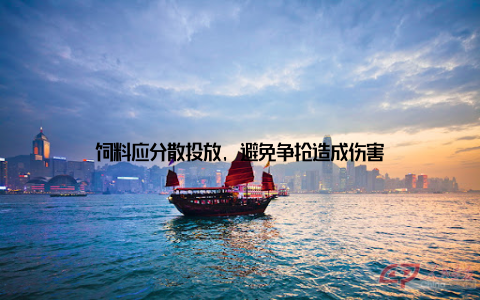 饲料应分散投放, 避免争抢造成伤害