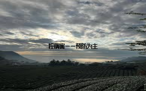 控病害——预防为主