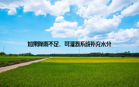 如果降雨不足, 可灌溉系统补充水分
