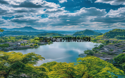一位业内资深分析师告诉我