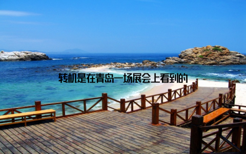 转机是在青岛一场展会上看到的