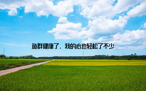 鱼群健康了, 我的心也轻松了不少