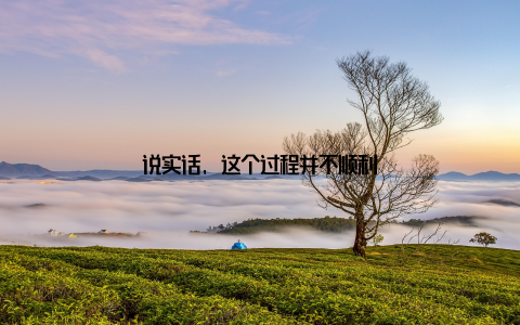 说实话, 这个过程并不顺利