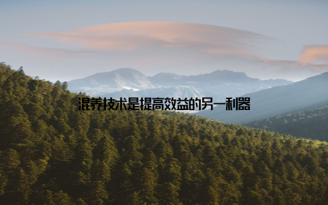 混养技术是提高效益的另一利器